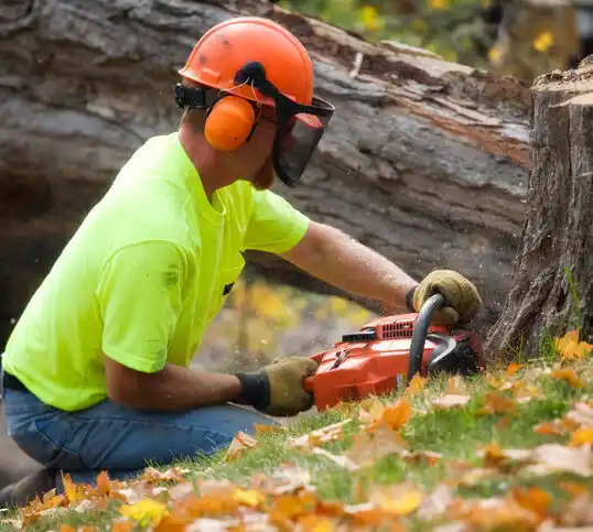 tree services Hailesboro